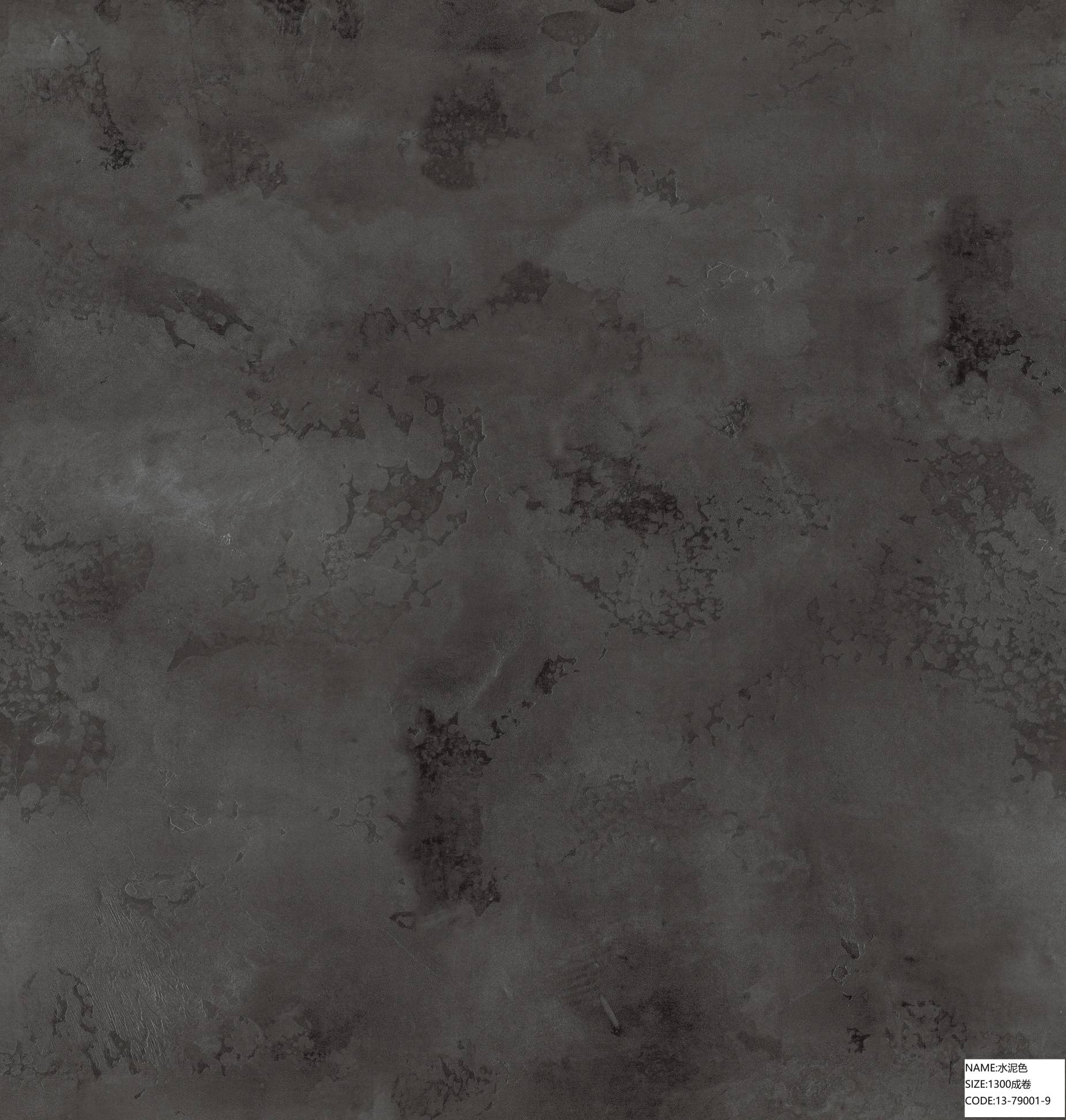13-79001-9